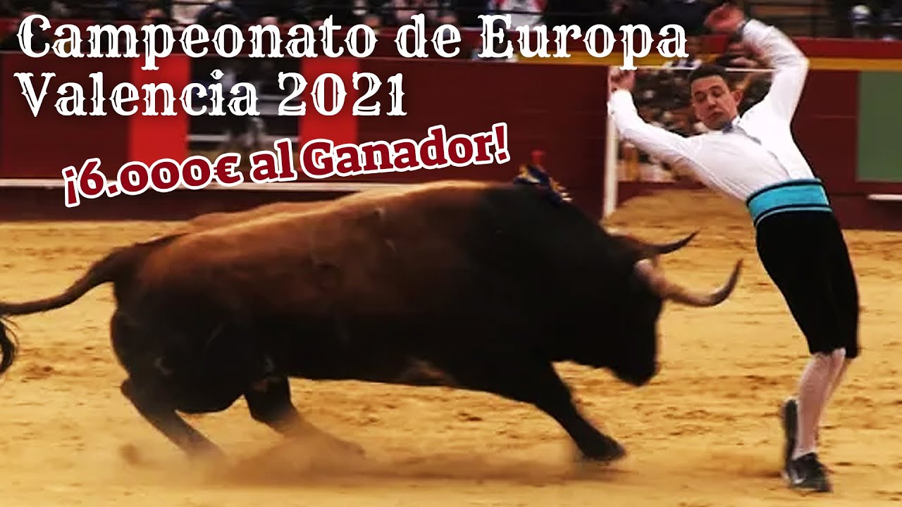 🏆🇪🇺 CAMPEONATO DE EUROPA DE RECORTADORES FRENTE A TOROS DE MIURA, ADOLFO MARTÍN... 📍 VALENCIA 2021