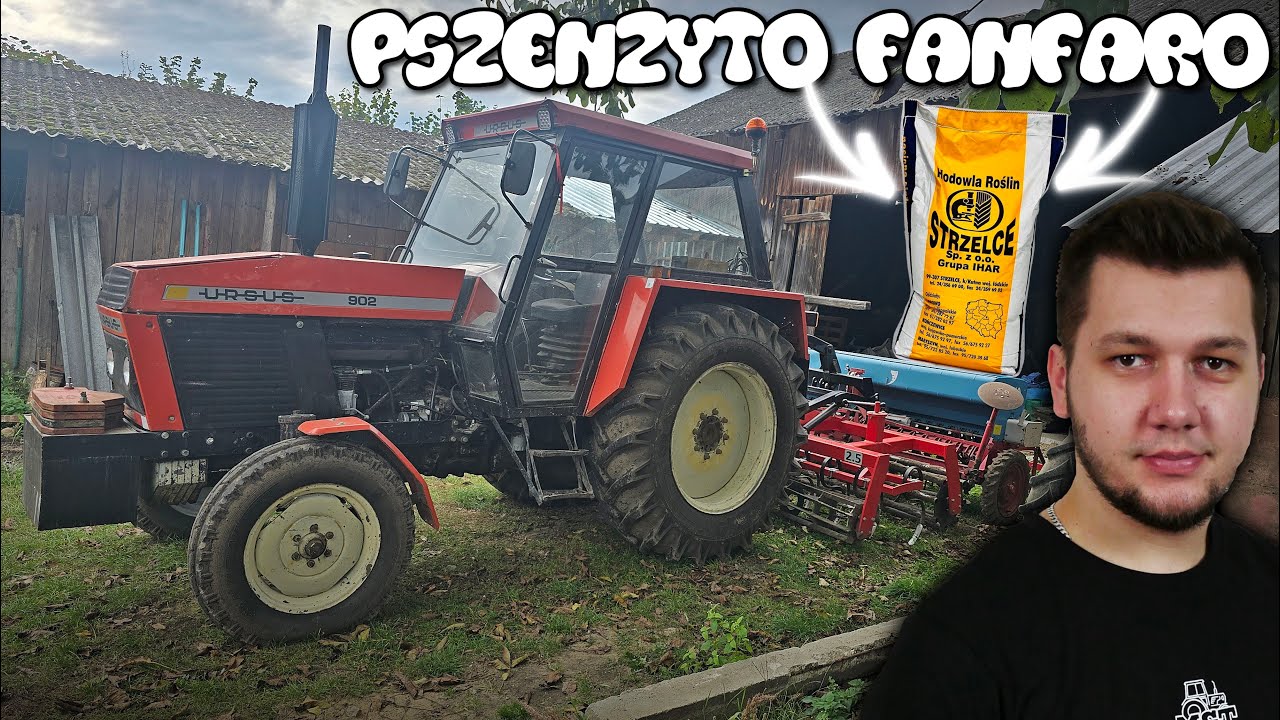 Siejemy Pszenżyto FANFARO😍[2K] URSUS 902 &  ISARIA 600/S🎥★