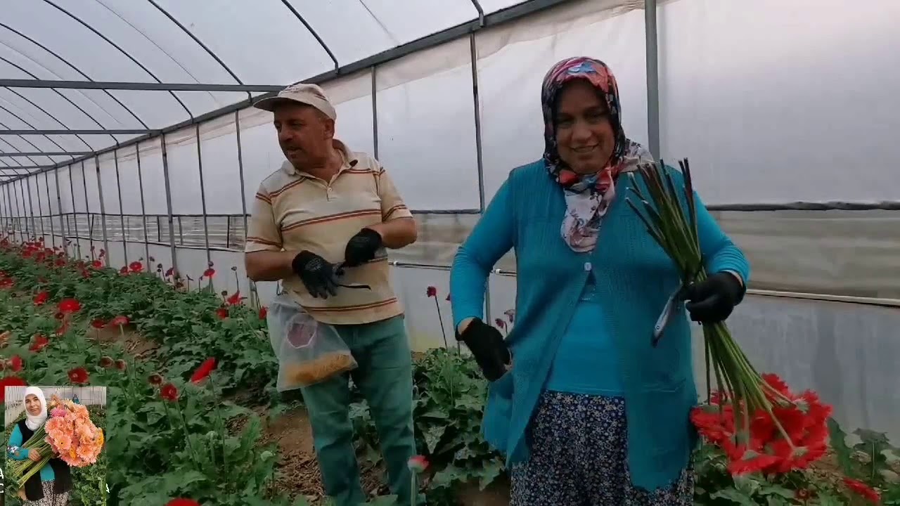 🥀GERBERA🌹ÇİÇEK🌺 KIRDIK🌻 KAHVALTI🌷VLOG