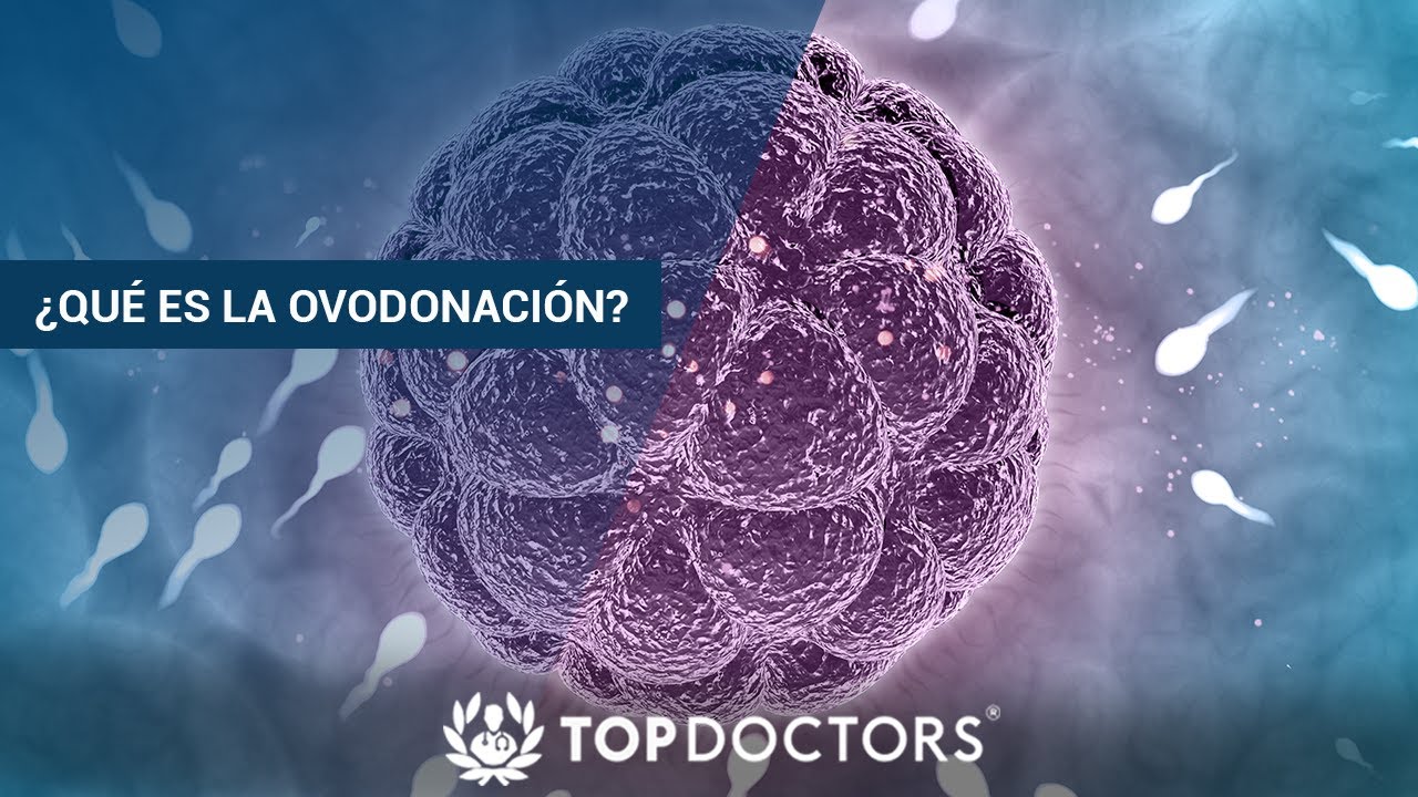 &iquest;Qu&eacute; es la Ovodonaci&oacute;n?