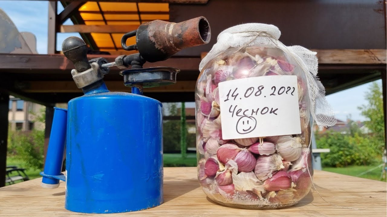 хранение чеснока в банке начало