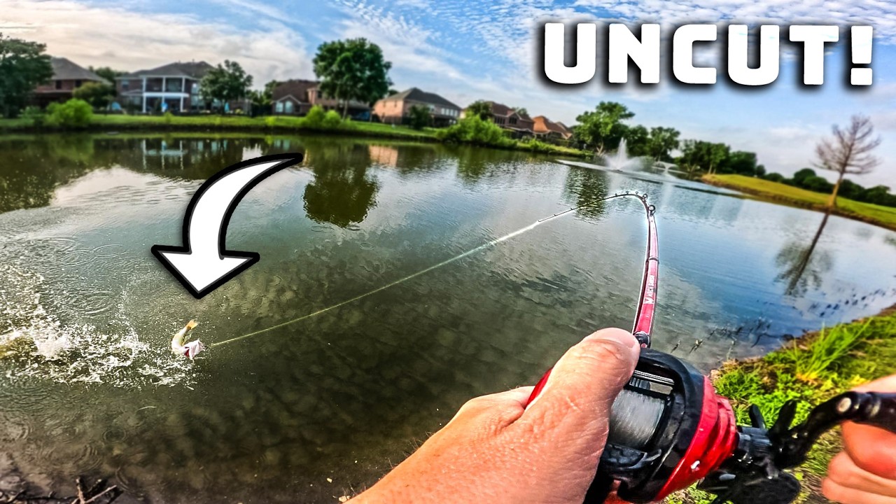 How To Fish Ponds In The Summer! (Uncut Fishing Tips)