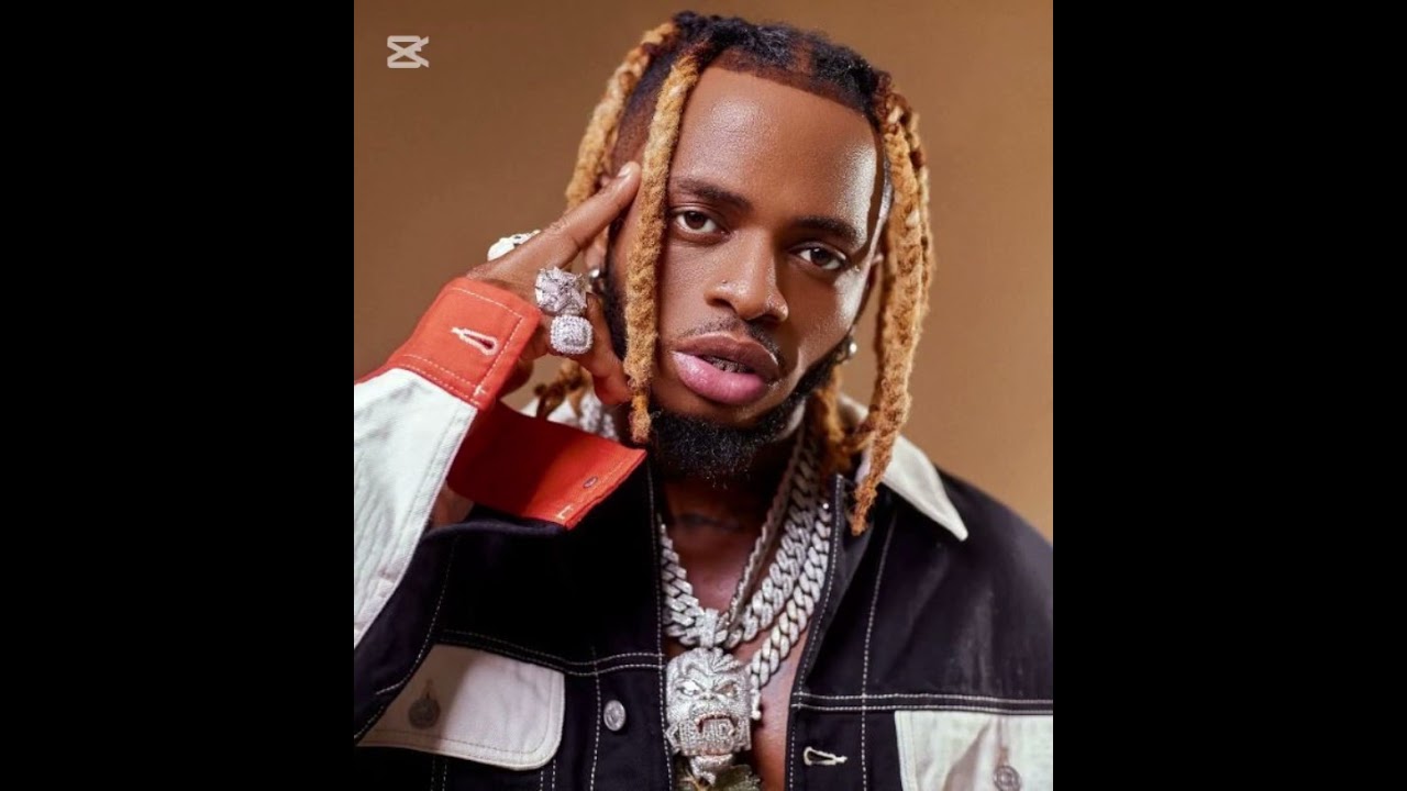 Exploring Diamond Platnumz's Career and Personal Life as a Tanzanian Artist