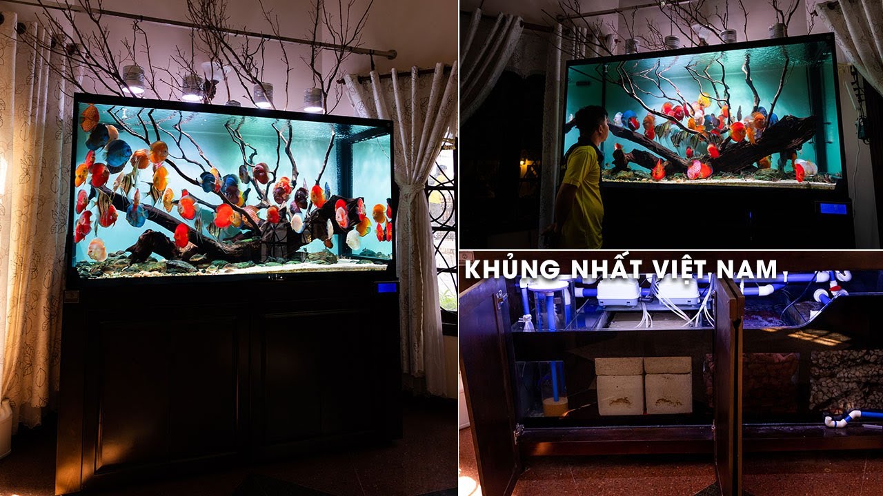 Về thăm HỒ CÁ ĐĨA 