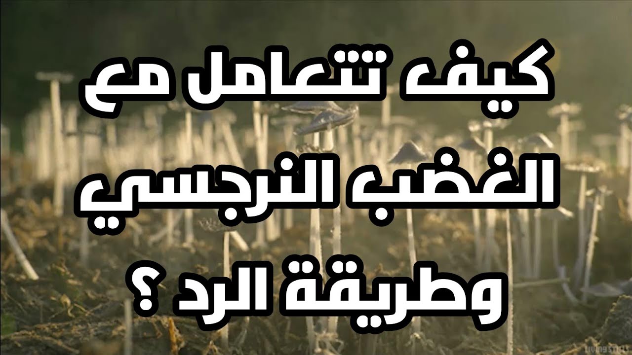 كيف تتعامل مع الغضب النرجسي وطريقة الرد ؟