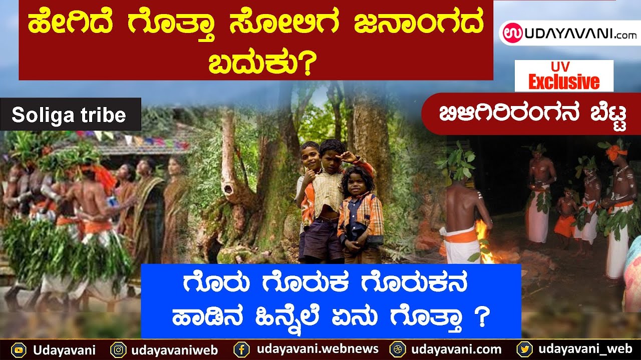 ಹೇಗಿದೆ ಗೊತ್ತಾ ಸೋಲಿಗ ಜನಾಂಗದ ಬದುಕು | ಗೊರು ಗೊರುಕ  ಗೊರುಕನ ಹಾಡಿನ ಹಿನ್ನೆಲೆ | Soliga tribe | BR Hills