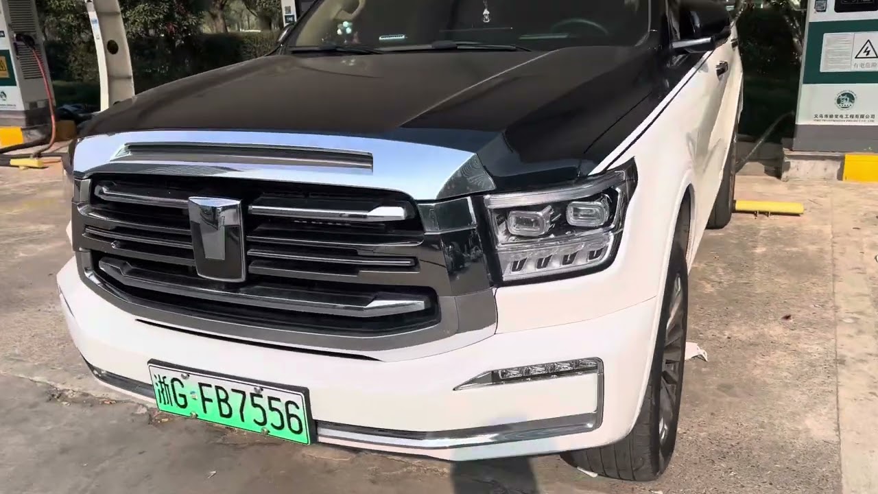 Carga  de autos el&eacute;ctricos en china