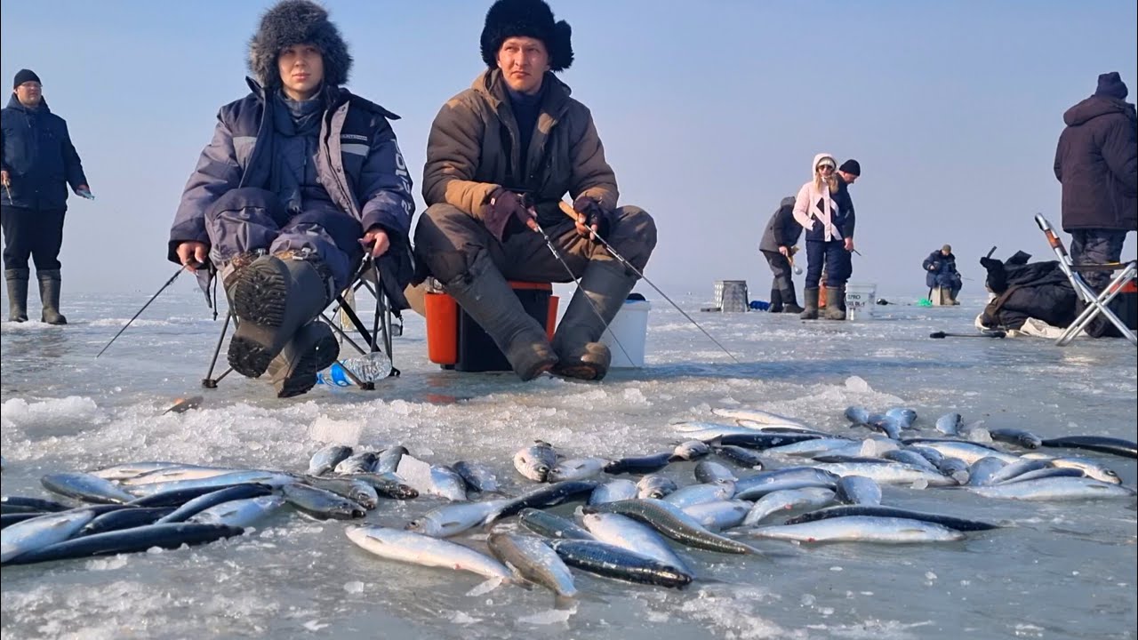 МНОГО РЫБЫ. Селёдка Как из Бочки! Рыбалка в Приморье.