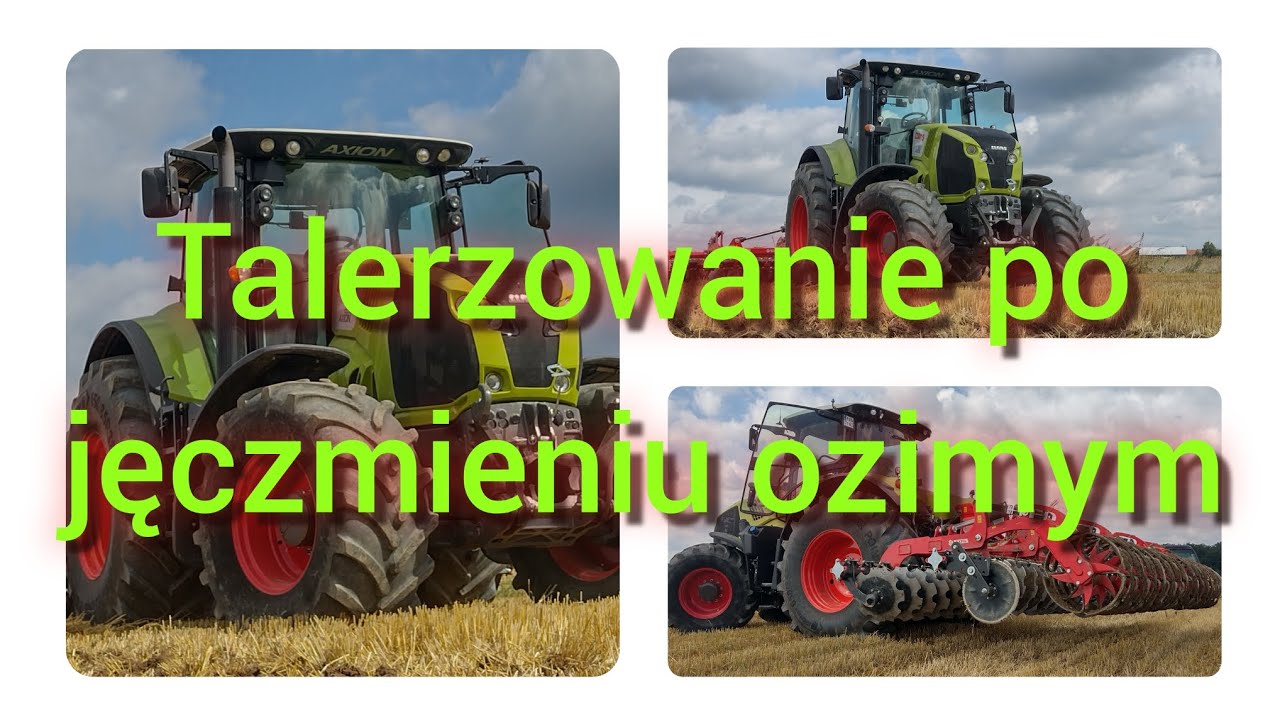 Talerzowanie po jęczmieniu ozimym | Class Axion 830, talerzówka Akpil 5m