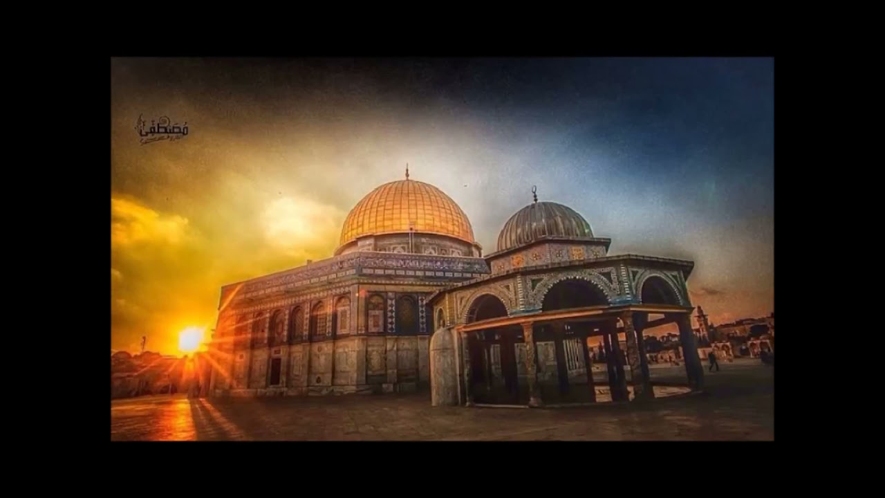 الشيخ علي القرني فصيح الحجاز يتكلم عن فلسطين كلام يرفع الهِمم