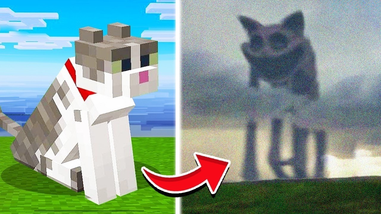 Minecraft MOBS GESICHTET im ECHTEN LEBEN!
