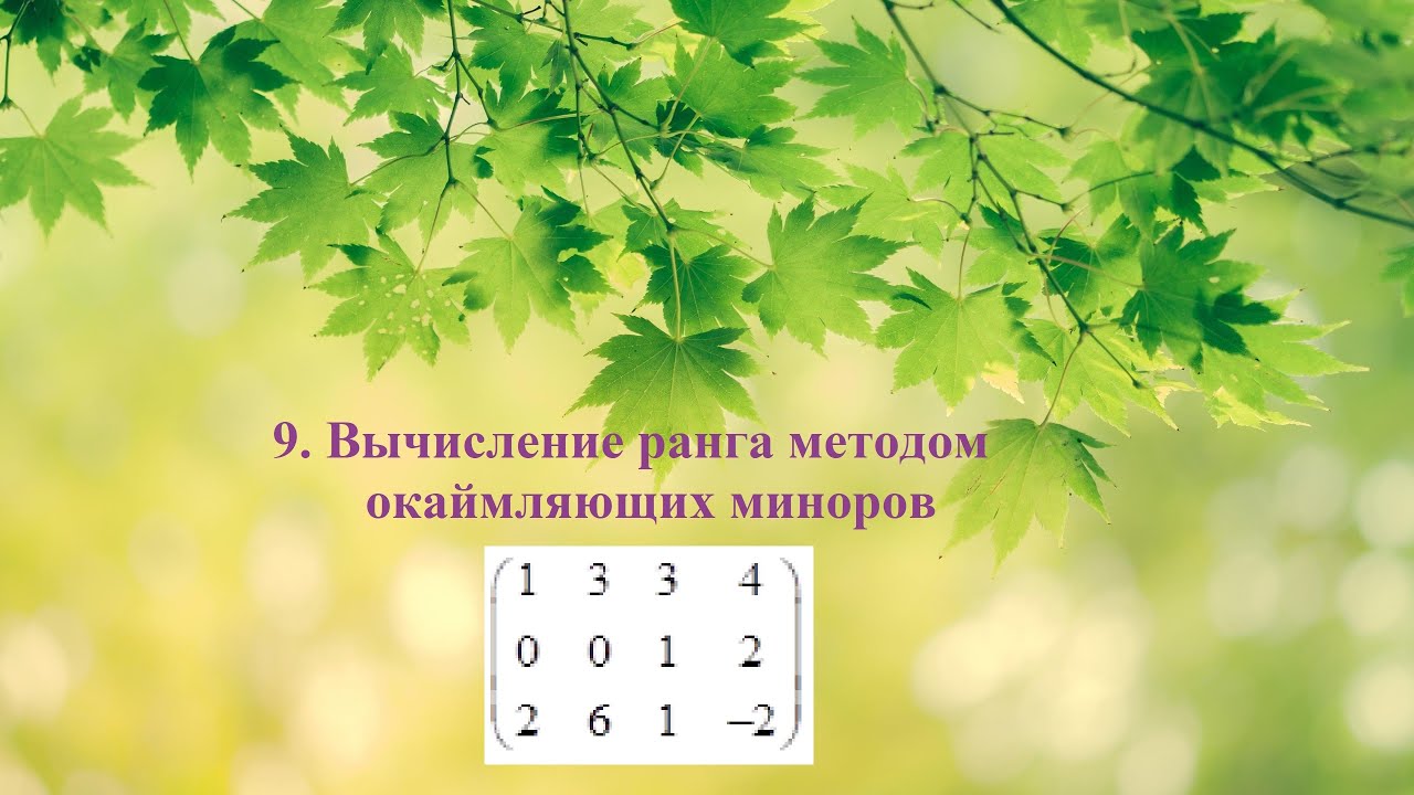 9. Вычисление ранга методом окаймляющих миноров