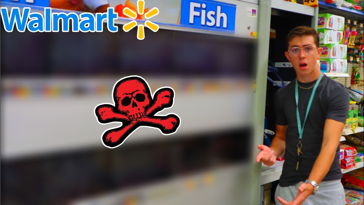 Why WALMART Shouldn't Sell Fish!
