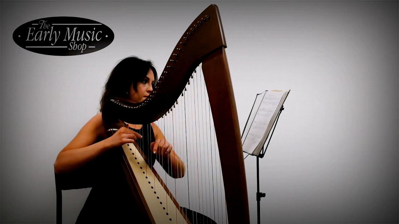 Camac Telenn 34 String Harp