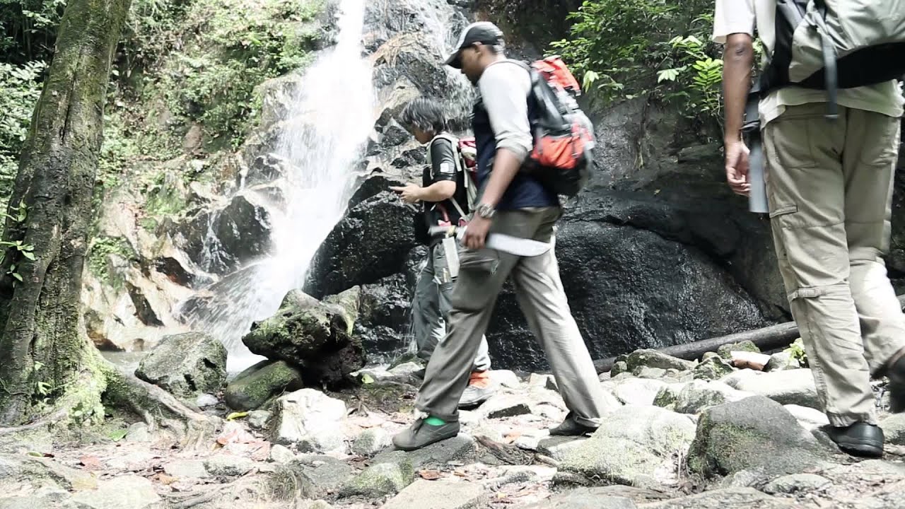 Careers in Conservation in WWF-Malaysia