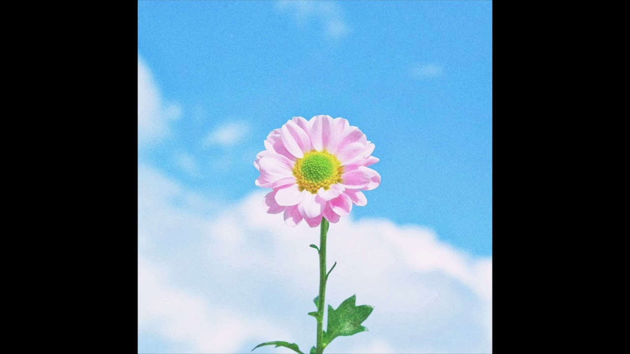 [Free] Anees x Kota The Friend Type Beat - 