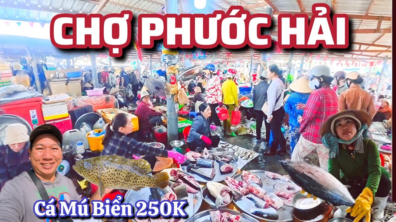 Chợ Phước Hải - Cá Mú Biển 250K/Kg - 11 Âm lịch Năm Bính Ngọ 2026.