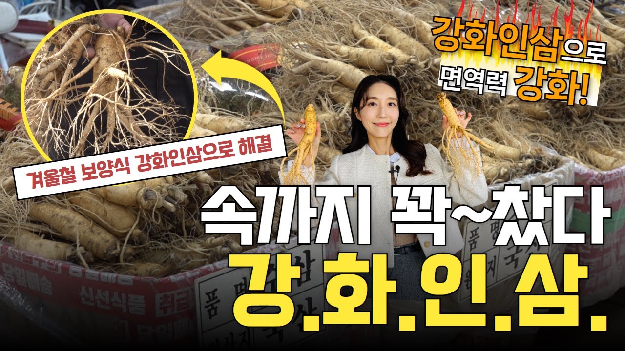 [오늘의 강화군] 속까지 꽉~찼다! 강화 인삼💛ㅣ겨울철 보양식 &lsquo;강화 인삼&rsquo;으로 해결하세요!ㅣ강화 인삼으로 면역력 강화하자💪
