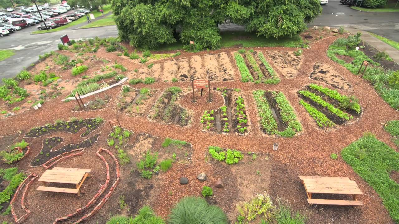 Full Version   UMass Permaculture Documentary Video