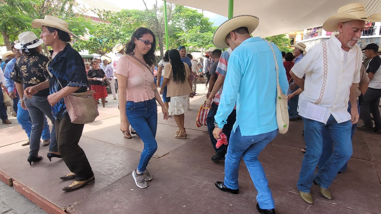 🤠 Está Muy Bueno El Domingo De Hoy En Xilitla Huapangos Huastecos