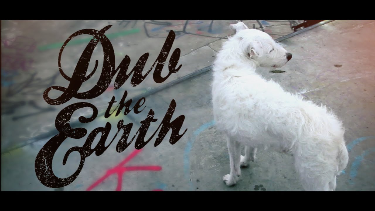 Dub The Earth - Double D Cups