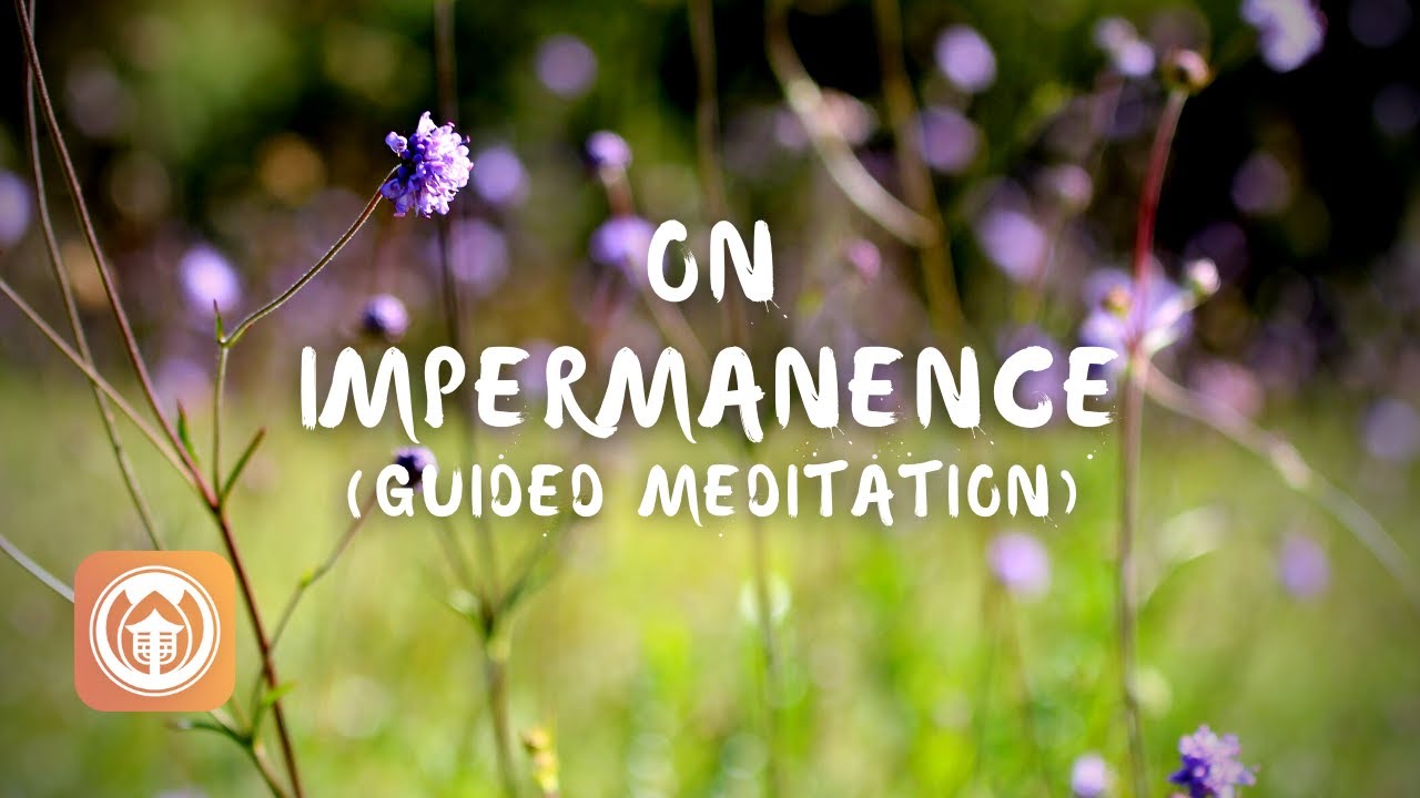 Guided Meditation on Impermanence | Brother Bao Tich