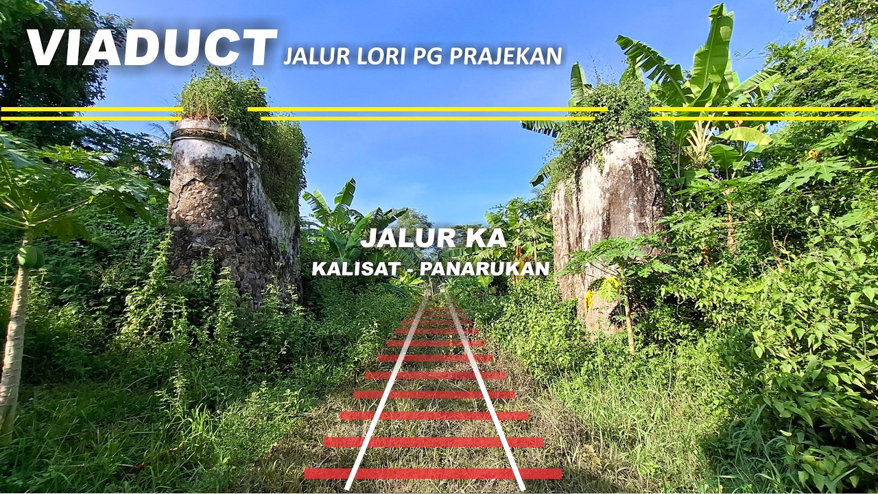 Pertemuan Jalur Lori PG Prajekan dengan Jalur Kereta Api Kalisat Panarukan