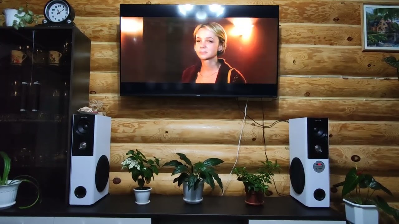 Eltronic 20-82 #home sound #акустика