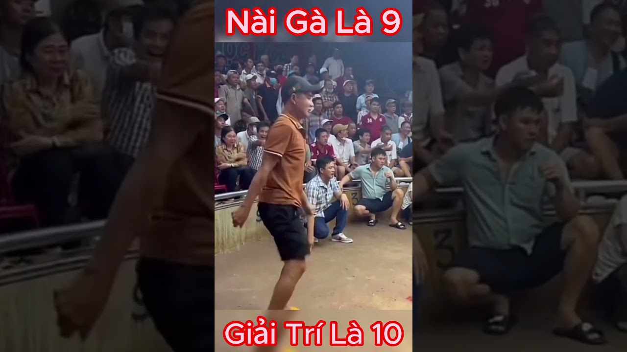 Anh n&agrave;i g&agrave; giải tr&iacute; nhất Thomo !!!