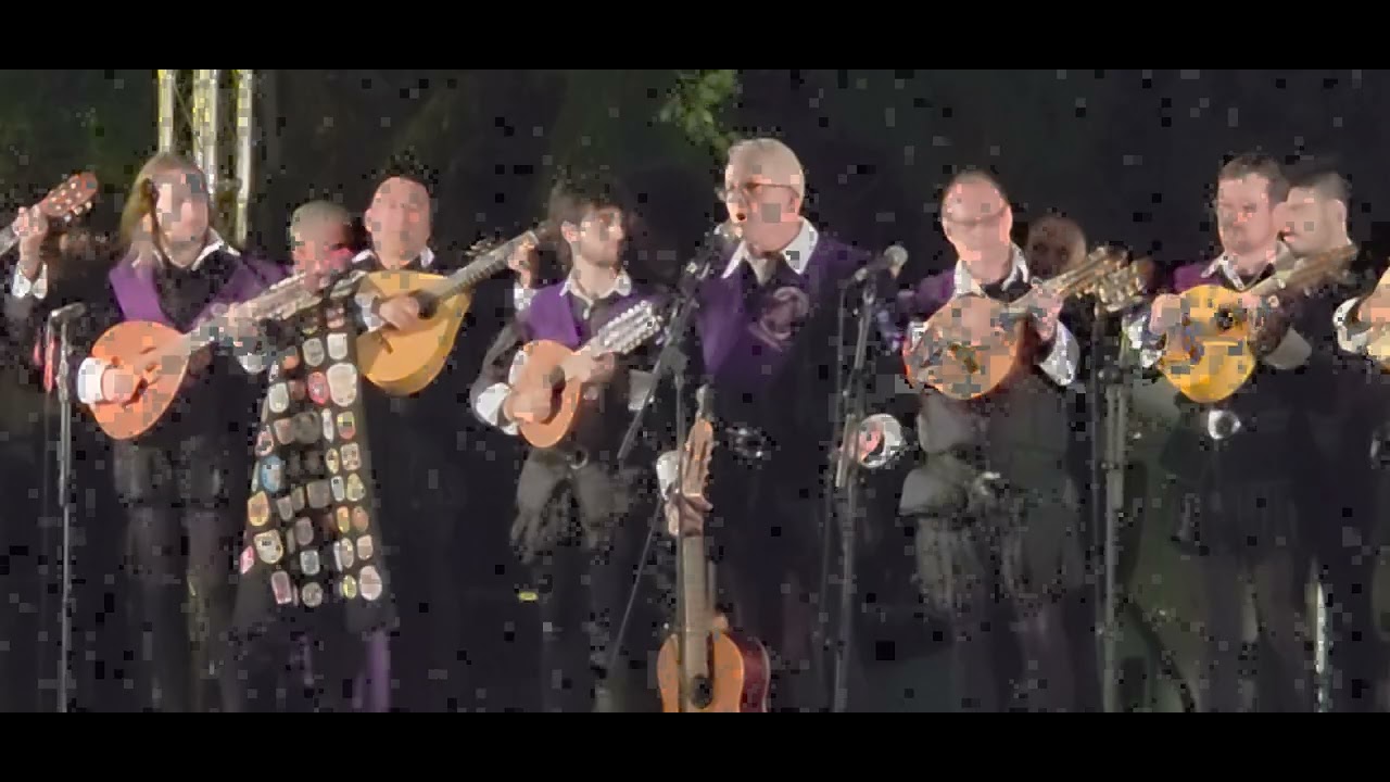 CONTINUACIÓN DEL CONCIERTO DE LA TUNA DE ALCALÁ DE HENARES (VIDEO 2)