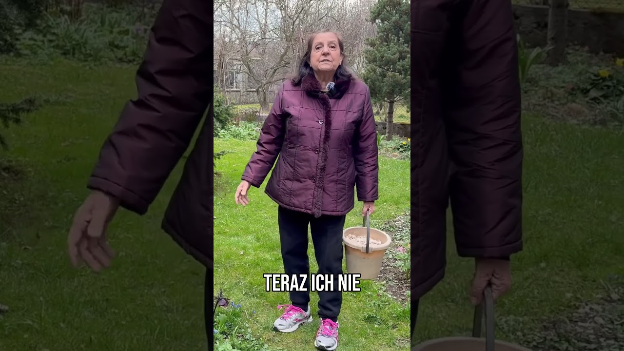 Skorupki po jajkach &ndash; najlepszy darmowy naw&oacute;z do tych roślin.