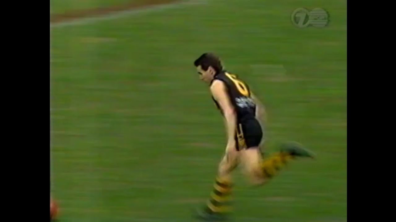 Richmond v Geelong 1996 Round 20 - Highlights 
