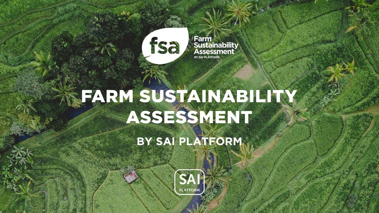 Introduction to the FSA: Why SAI Platform developed the FSA