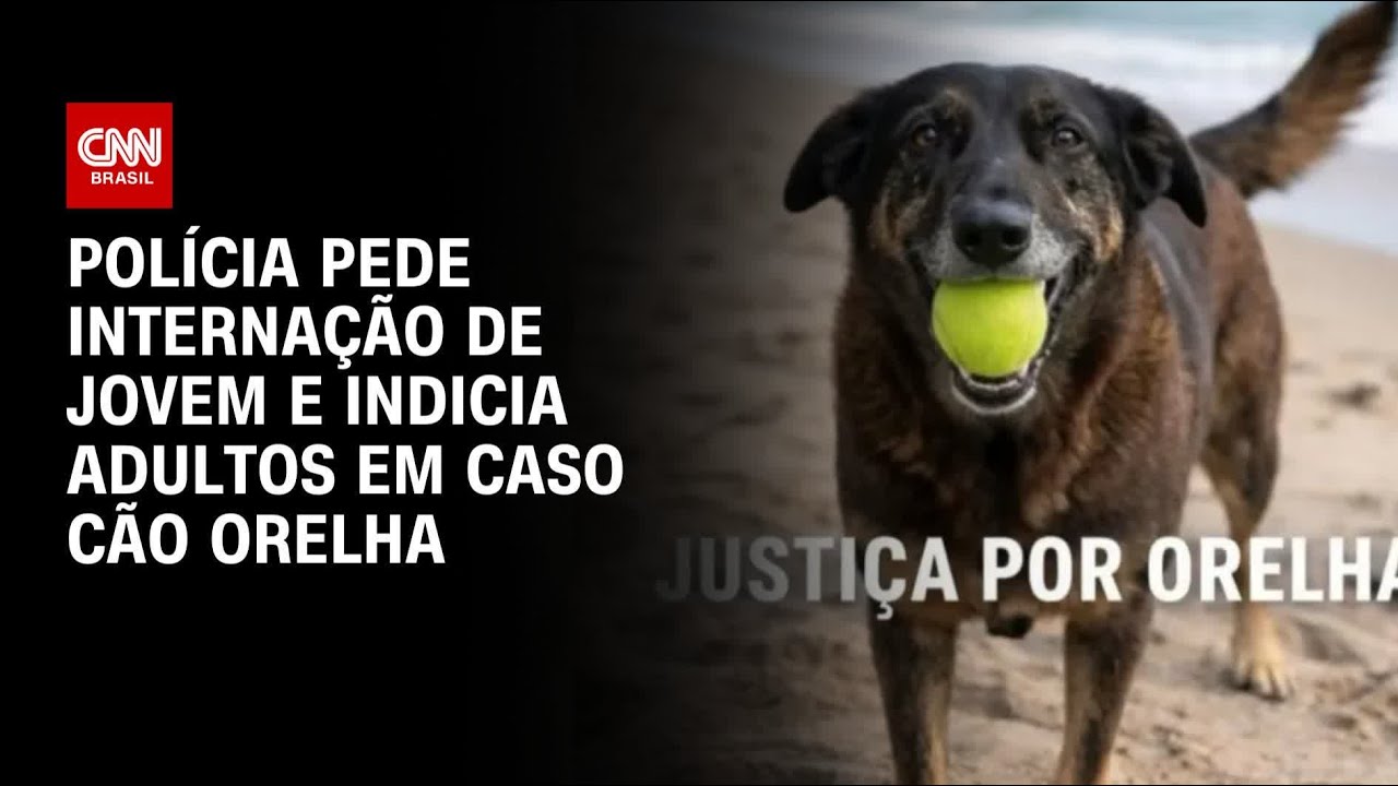 Cão Orelha: Polícia pede internação de jovem responsável pelo assassinato | CNN NOVO DIA