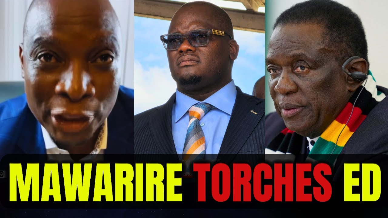 Jealousy Mawarire DESTROYS Mnangagwa & Tungwarara LIVE! 🔥 Geza FIRES Back!