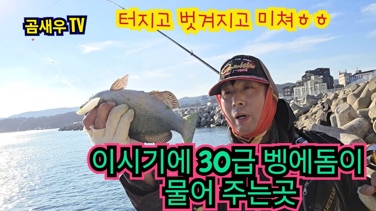 30급 겨울벵에돔 이 바글바글 한 곳 ㅎㅎ   터지고 벗겨지고 예민한 벵에돔 잡기 #벵에돔 #학꽁치 #동해벵에돔 #바다낚시 #낚시포인트#벵에돔포인트#동해벵에돔 #곰새우