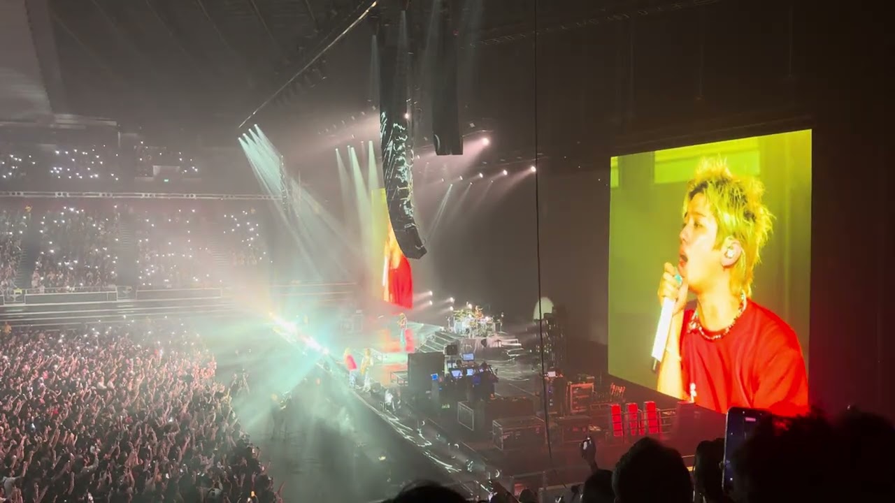 ONE OK ROCK - Wherever you are (Singapore LIVE)