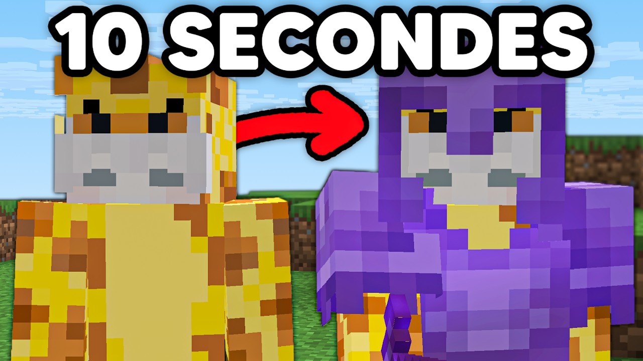 J'ai fait les Challenges de YouTubers sur Minecraft..