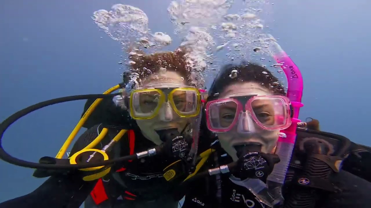Amanda, Aldara & Lisa Diving Neptune Memorial R￼eef and Sheri Lyn shipwreck