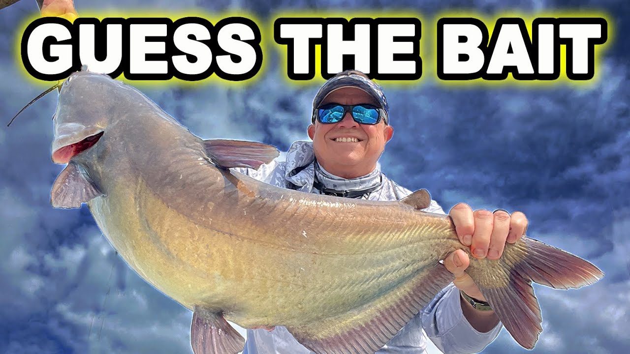 A Surprise Catfish Bait Catches This Fish