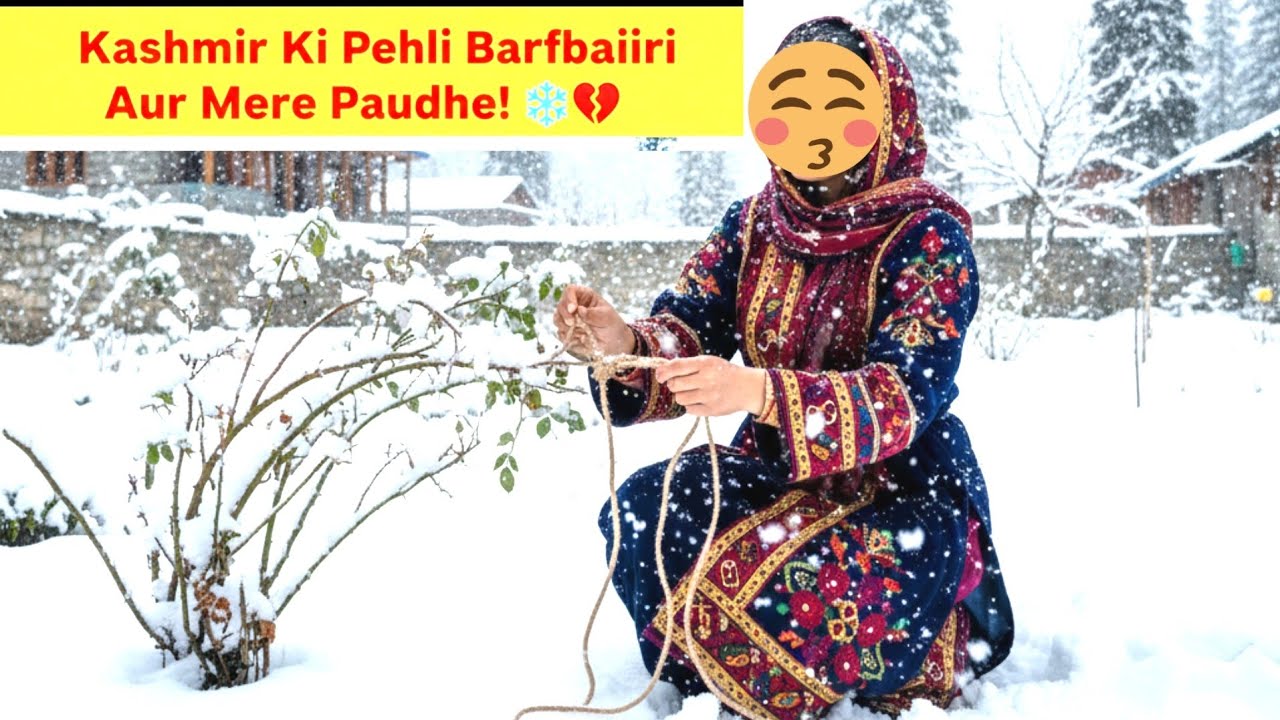 ​Kashmir Ki Pehli Barfbaari Aur Mere Paudhe! ❄️🥀 | First Snowfall 2026 | Saving My Garden