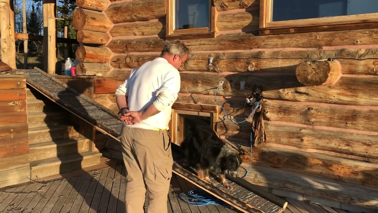 DIY Dog Ramp: For Home