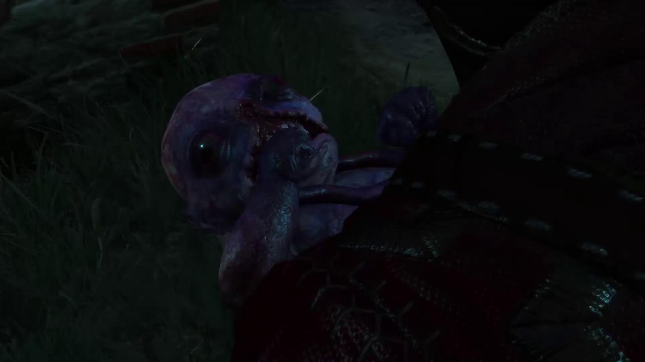 #thewhitcher3#ведьмак#PS5#life#PS4