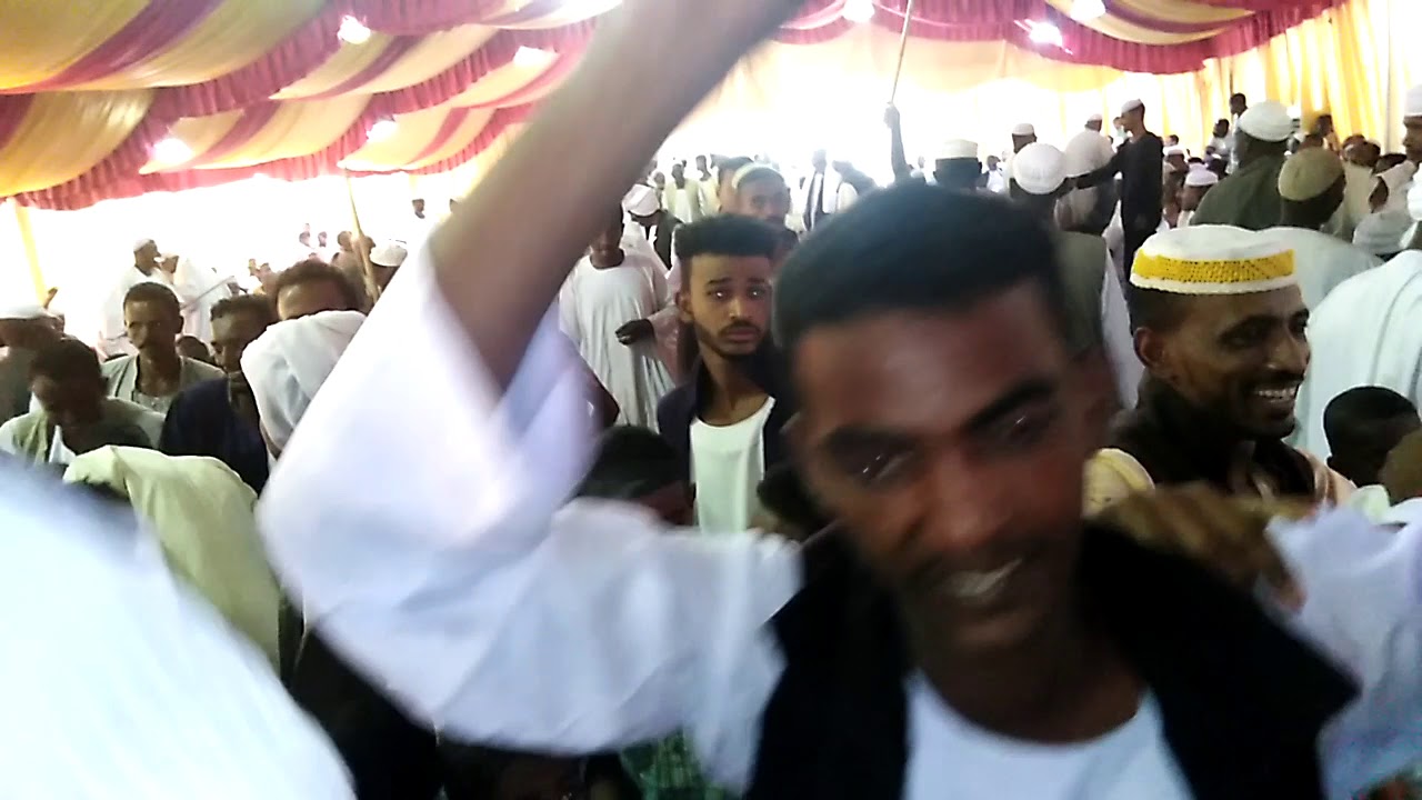 الفنان فضل الله عبدالله
