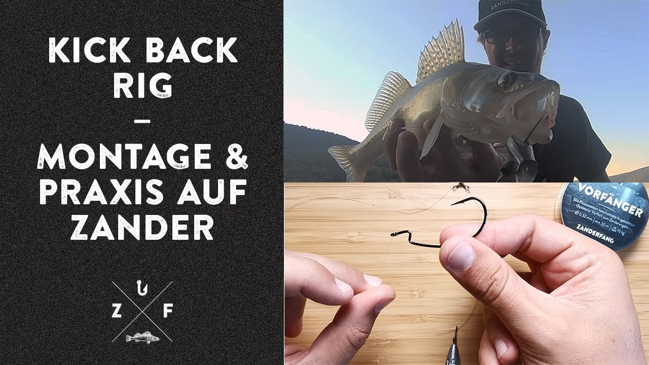 Angeln mit dem Kick Back Rig - Montage und Praxis auf Zander