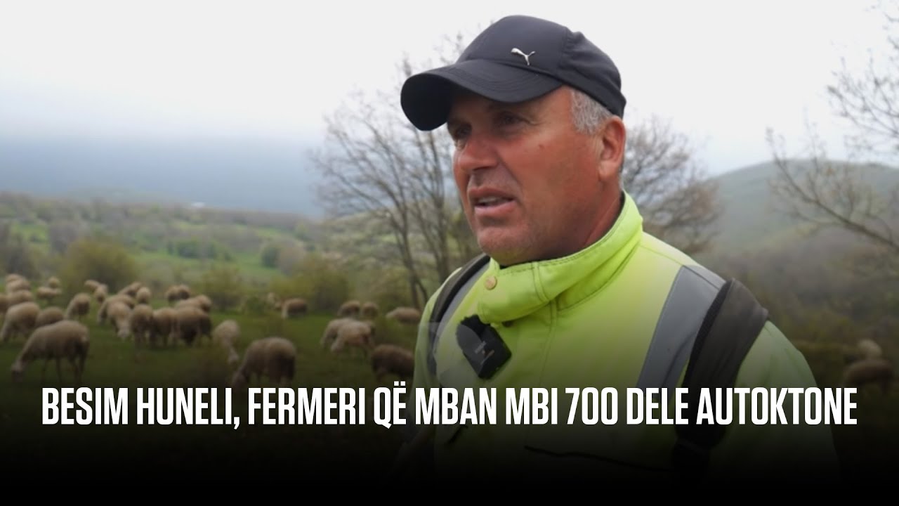 Besim Huneli, fermeri që mban mbi 700 dele autoktone