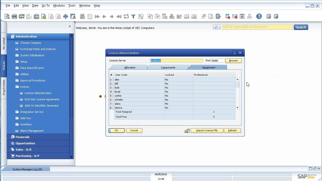 SAP Business One Assign Licenses