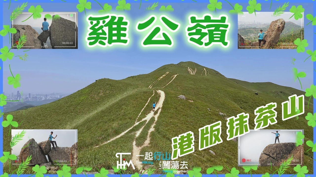 【香港行山】港版抹茶山🍵雞公嶺🏞️ 媲美宜蘭抹茶山 | 春夏限定景色🌱 | 零死角360度絕美翠綠山脈 | 三大連走第一站大羅天 | TimHiking