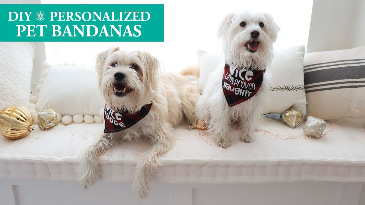 Cricut - DIY Personalized Dog Bandanas - Pets (Iron-On)