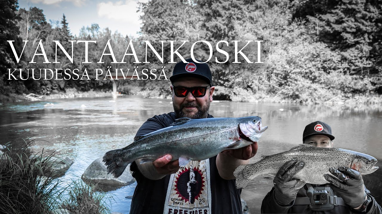 VANTAANKOSKI KUUDESSA PÄIVÄSSÄ - KALASTUKSENVALVONTA MYÖS PAIKALLE
